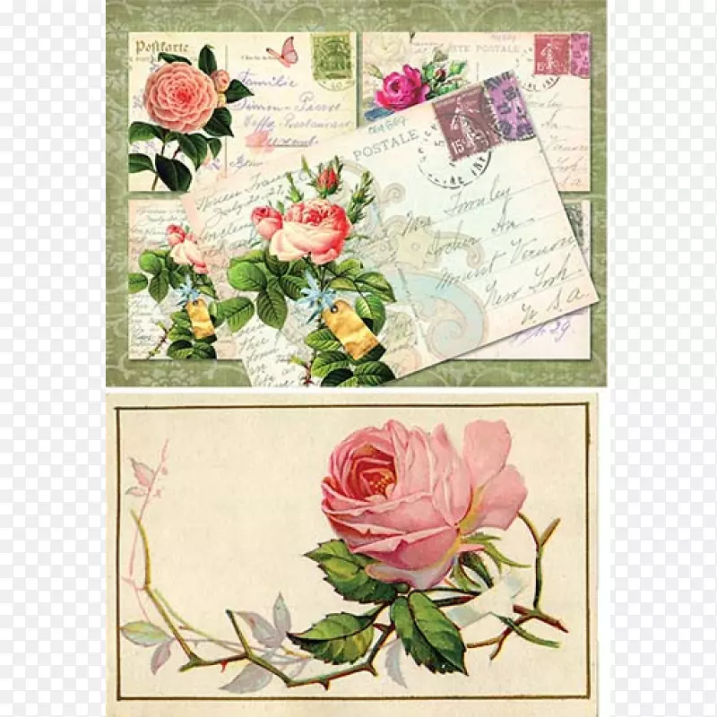 花卉设计花园玫瑰花切花问候和便笺卡.去耦复古