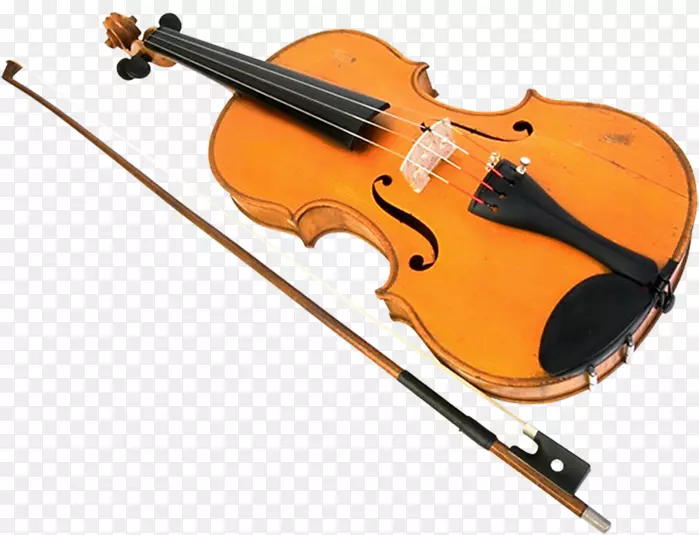 弦乐器、小提琴、家庭乐器.乐器