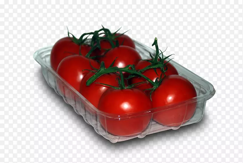 李子番茄灌木番茄天然食品塑料聚合物