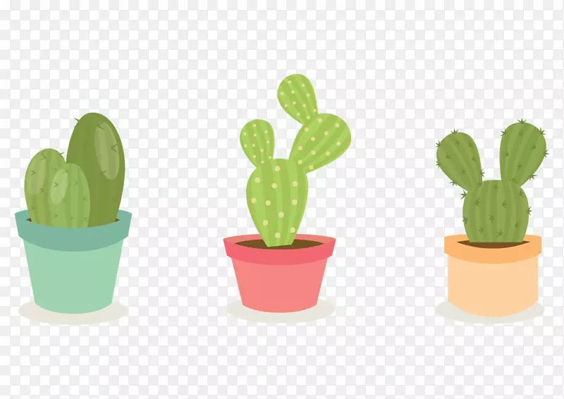 仙人掌科(Echinopsischamaecereus)刺、刺和刺-植物PNG图片素材下载_图片编号2400131-PNG素材网