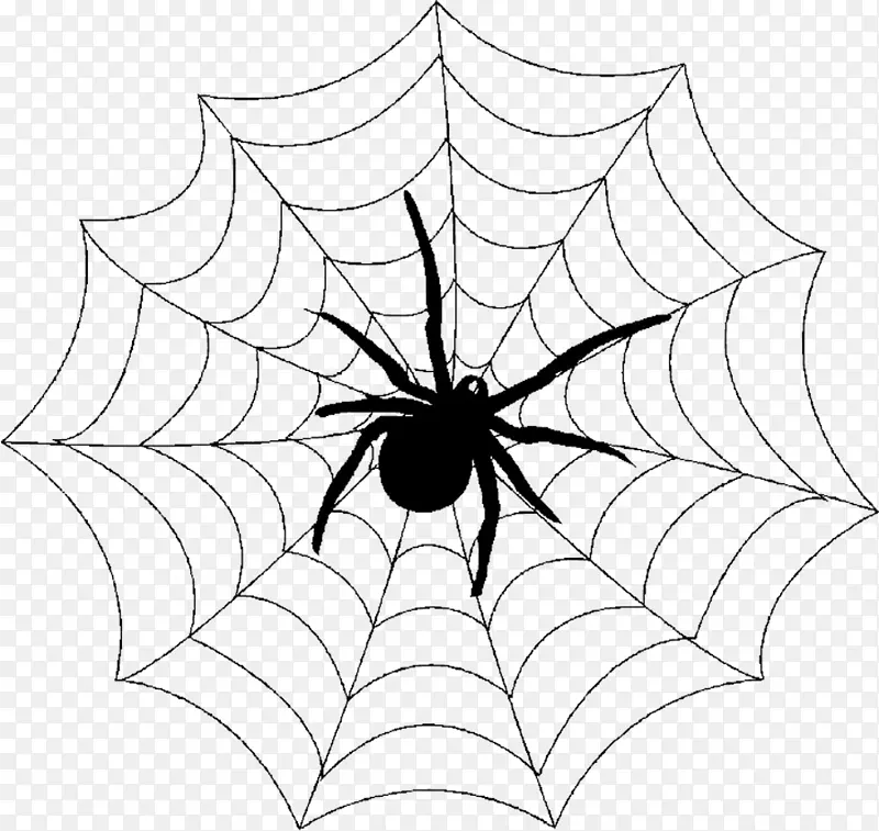 蜘蛛网浴帘夹艺术-蜘蛛
