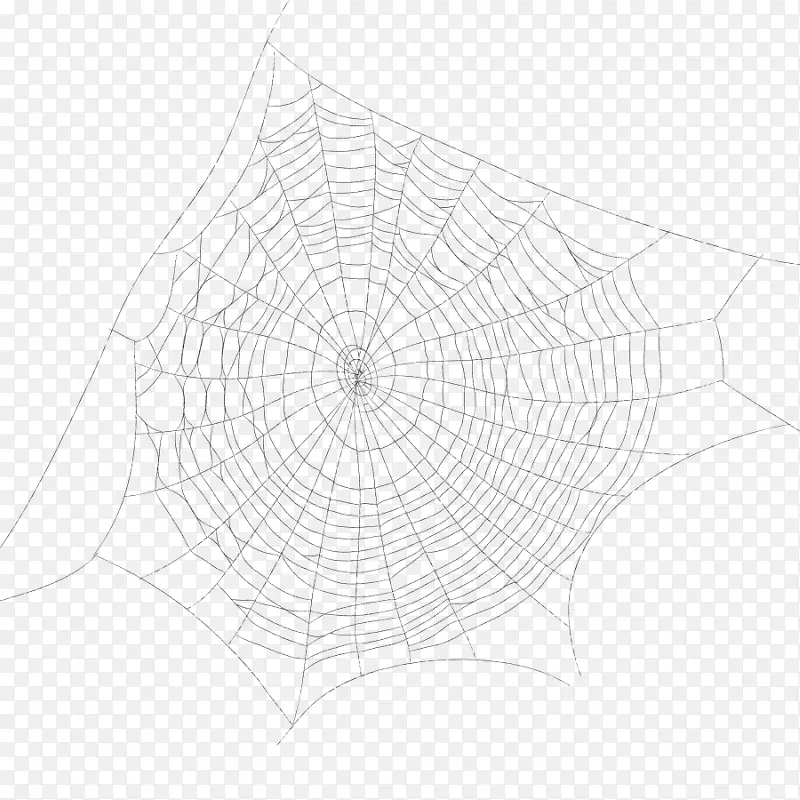 蜘蛛网绘图点蜘蛛