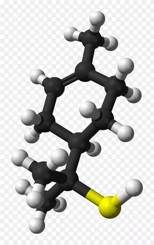 松油醇分子单萜柚子硫醇有机化合物