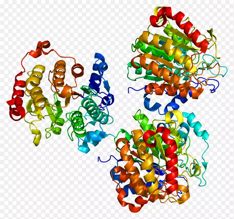 组蛋白去乙酰化酶抑制剂HDAC 7组蛋白乙酰化和去乙酰化