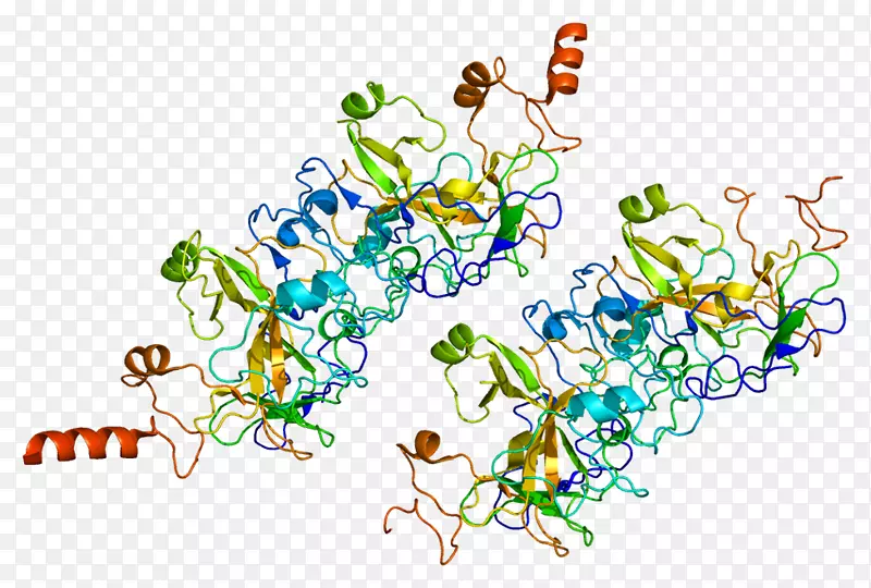 ehmt 2组蛋白甲基转移酶表观遗传学