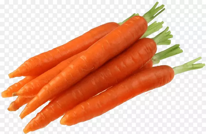 汁小胡萝卜蔬菜兔胡萝卜植物