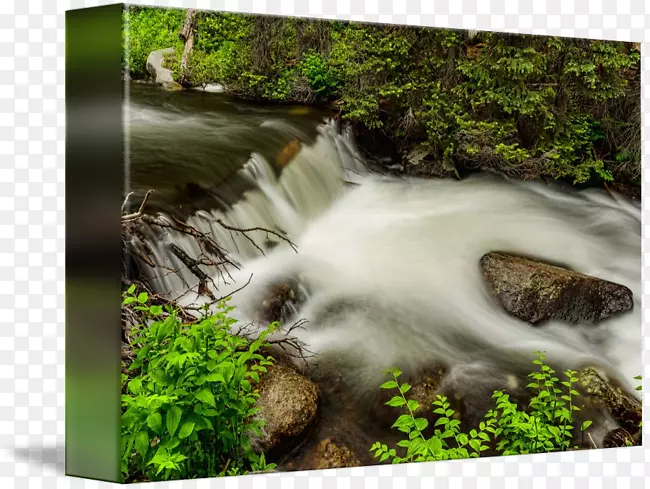 自然保护区水资源瀑布树雨林-山溪