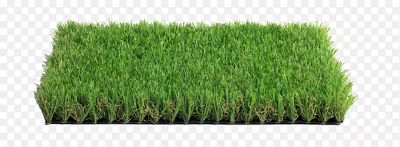 斜体水疗草坪人工草坪花园地毯景观绿色