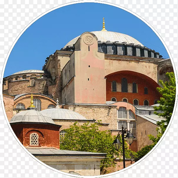 刺五加(Hagia Sophia topkapı)宫殿大紫草