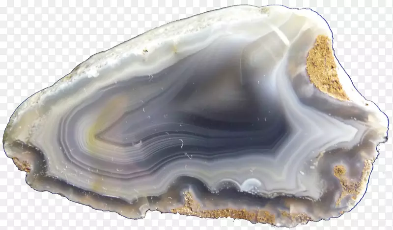 蛤蜊矿物-玛瑙石