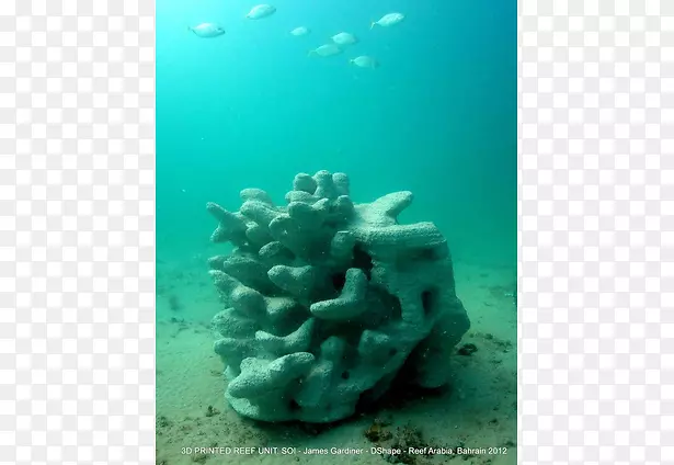 珊瑚礁石珊瑚3D打印-客厅顶景