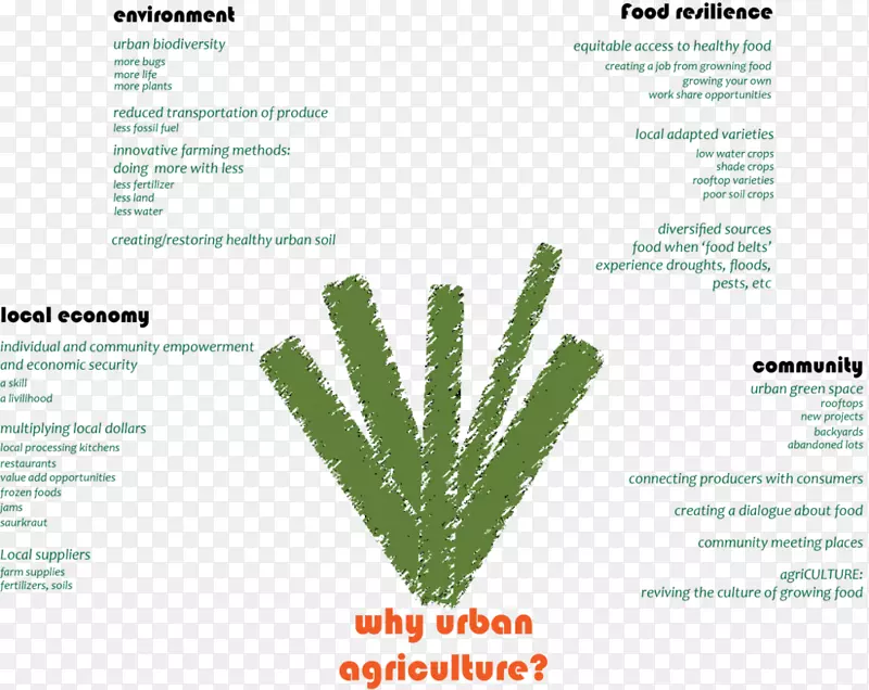 草本植物品牌线树字体-城市农场