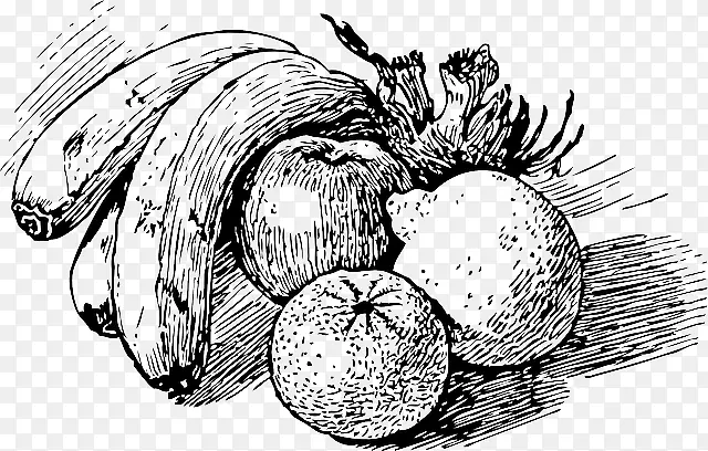 线条和形式：“图画书”水果素描烹饪素描