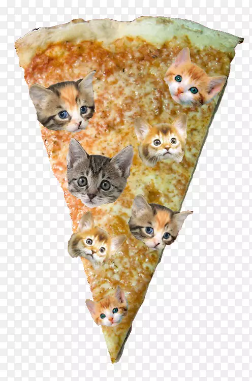 小猫披萨片