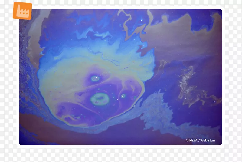 /m/02j71海洋无脊椎动物地球海洋生物桌面壁纸-地球污染