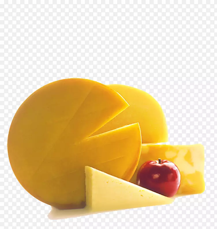 乳制品研究大会挤奶女工网络会议乳酪