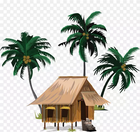 椰子油保健烹饪-椰子树海滩