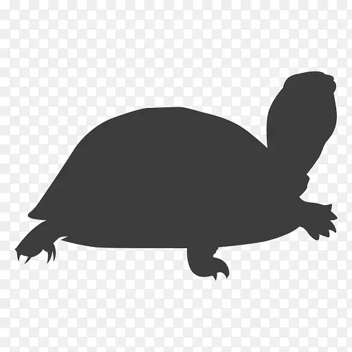 海龟剪影爬行动物-水彩龟