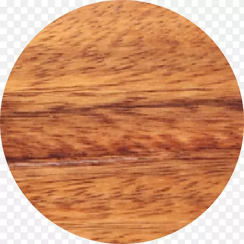 铜绿假单胞菌胶合板染色木材-木材圆环