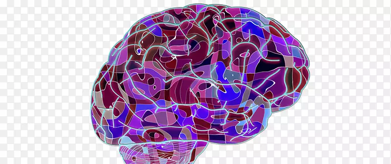 人脑发育对神经系统认知训练的研究-多发性硬化症