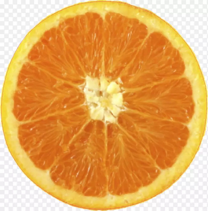 血橙膳食补充剂克莱门汀橘子橙类水果制品