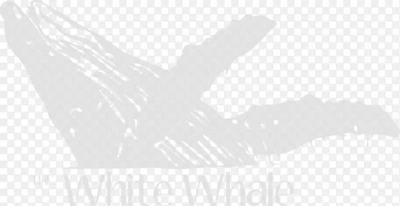 商标白色桌面壁纸-小须鲸