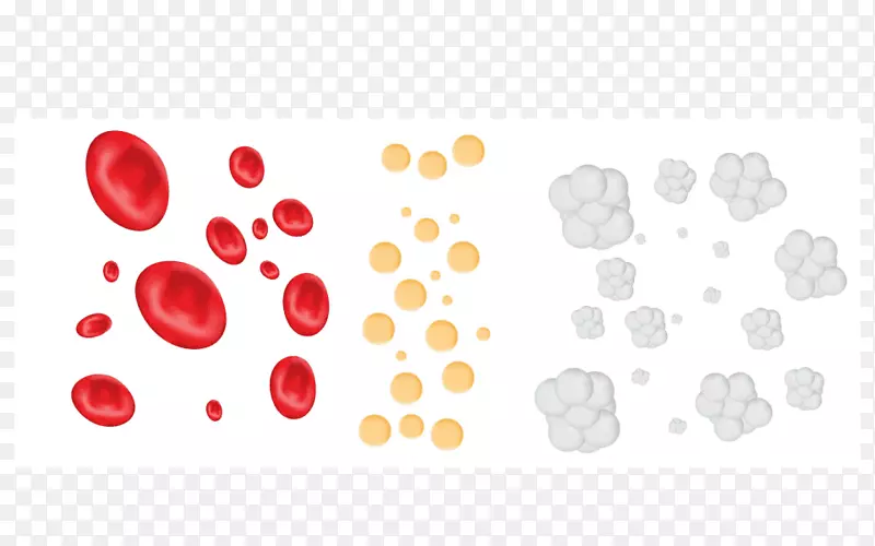 白细胞血小板-血细胞