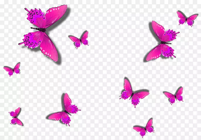 粉红蝴蝶粉刷墙面地毯