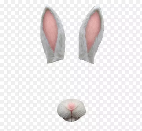 摄影滤镜显示分辨率剪辑艺术兔耳