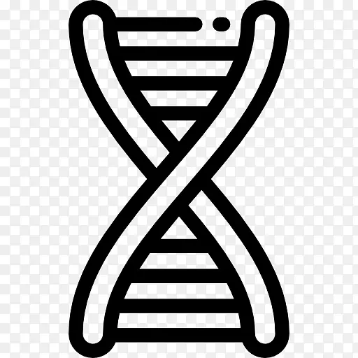 DNA遗传学核酸双螺旋染色体科学