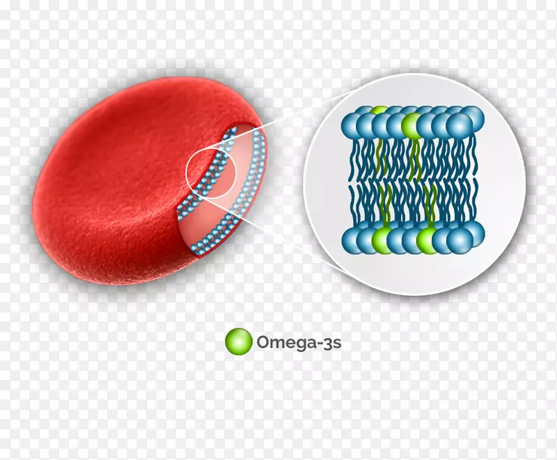 欧米茄-3脂肪酸-红细胞-血细胞