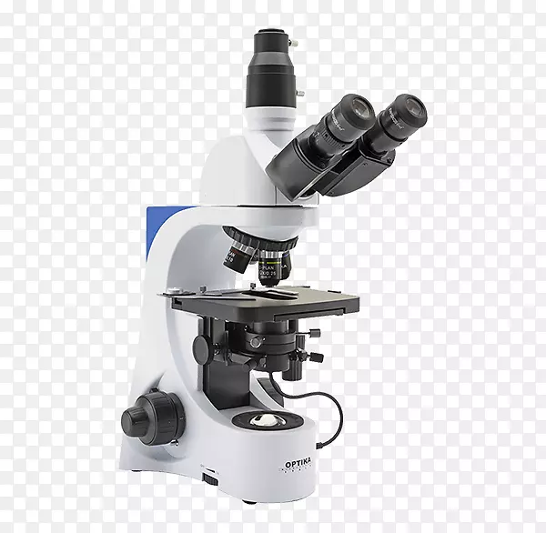 亮场显微镜，光学显微镜，暗场显微镜，光