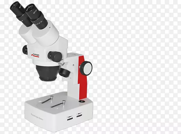 立体显微镜荧光显微镜安装双筒望远镜显微镜