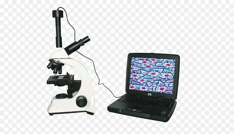 光学显微镜数码相机数码显微镜