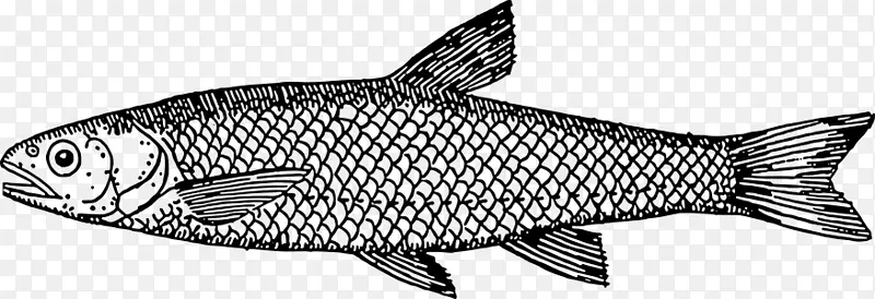 鱼比安卡餐厅菜单菜肴-水生动物
