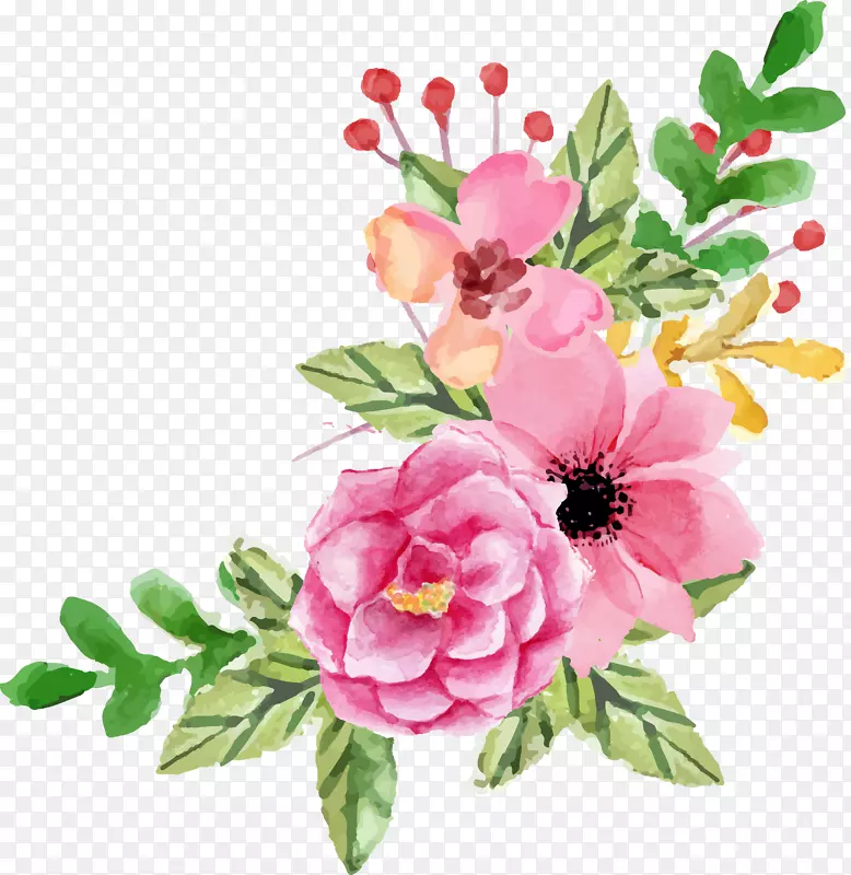 花园玫瑰花卉设计花卉水彩画.情人节元素