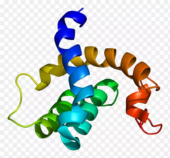 cbfa2t3蛋白基因uniprot转录因子