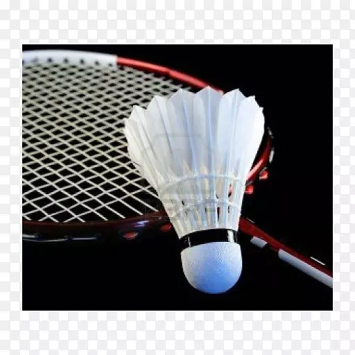 羽毛球世界联合会如何打羽毛球bwf世界少年锦标赛巴基斯坦羽毛球联合会-羽毛球
