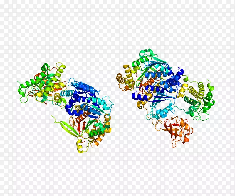 uba 2相聚蛋白小泛素相关修饰酶1酶