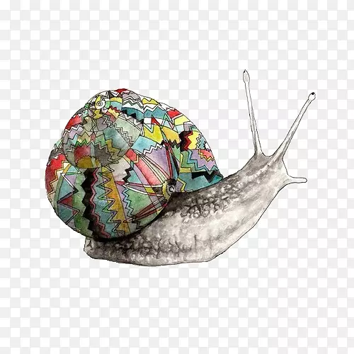 陆地蜗牛绘画艺术-蜗牛