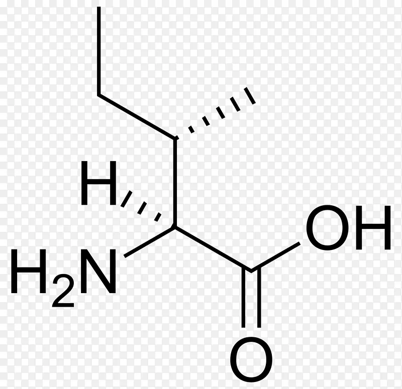 异亮氨酸支链氨基酸、蛋白质性氨基酸、必需氨基酸-尿