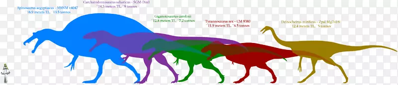 马棘龙恐龙是有史以来最可怕的动物-马