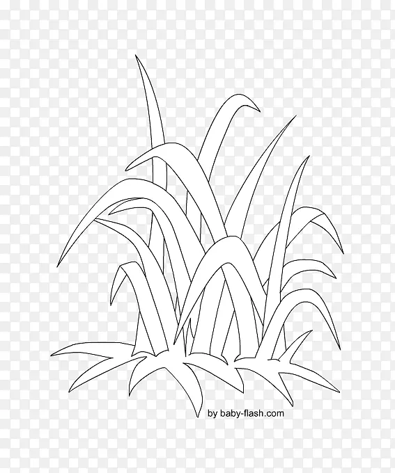 植物茎线艺术叶素描