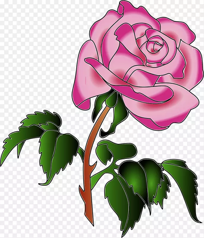 花园玫瑰，卷心菜，玫瑰剪贴画-迷人的玫瑰