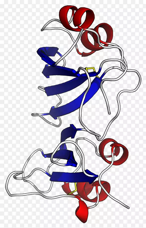 β-内酰胺酶抑制剂蛋白β-内酰胺酶抑制剂-酶抑制剂