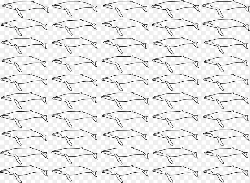线点角白色材料-驼背鲸
