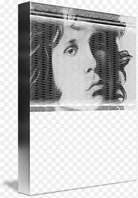 画框/m/02csf-Jim Morrison