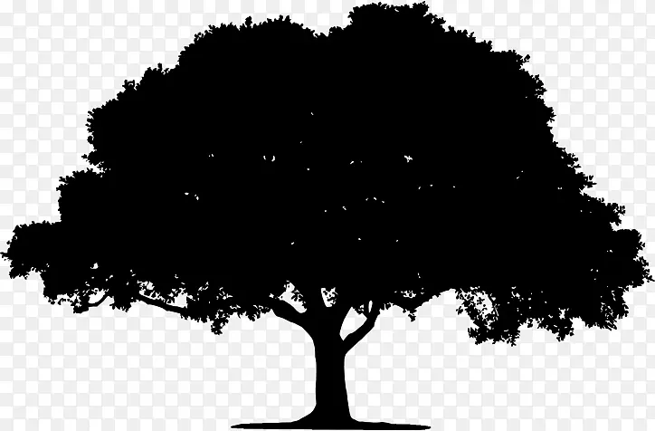 剪贴画-黑白树