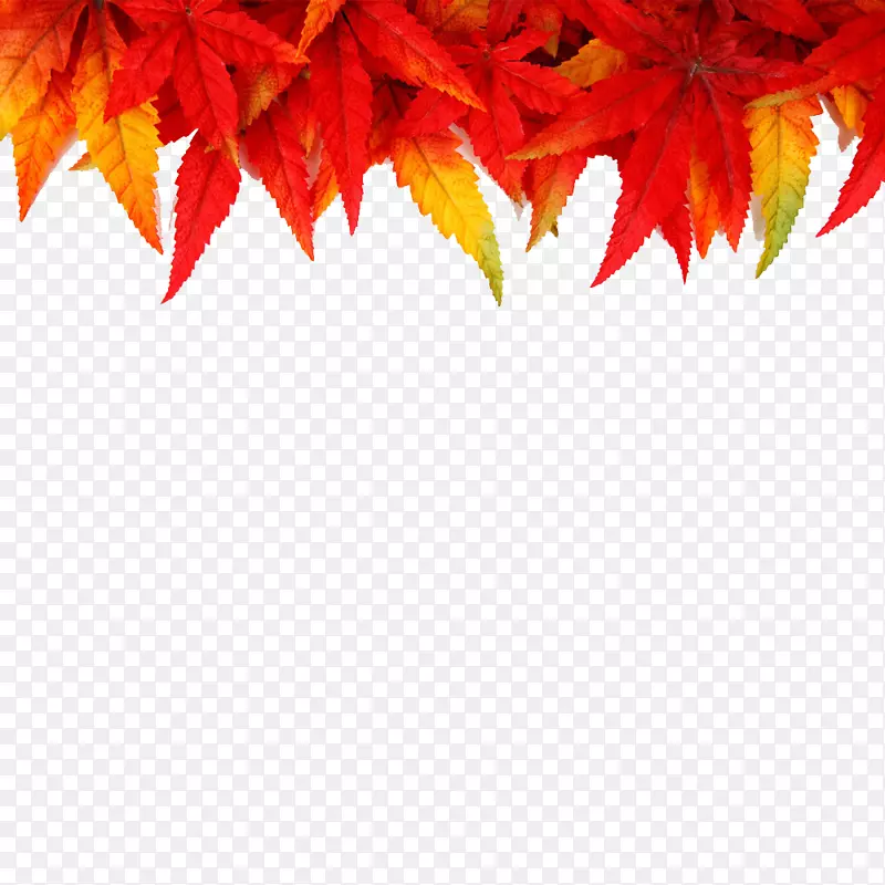 桌面壁纸画框秋天-枯叶