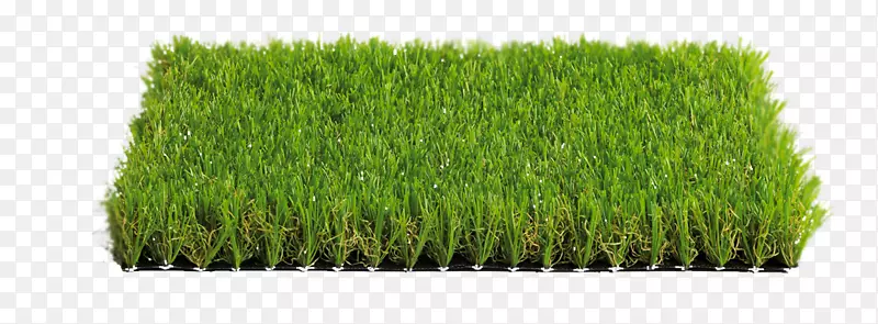 人工草坪斜绿色水疗草甸普拉托价格-绿色景观
